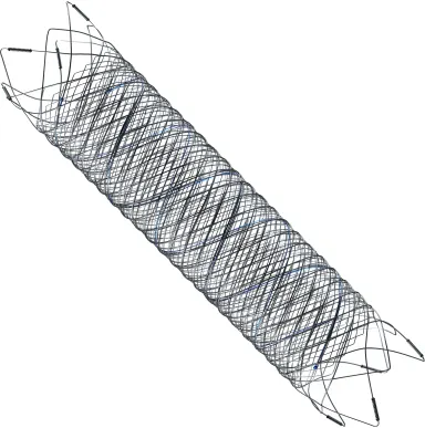 FRED X Flow Diverter Stent